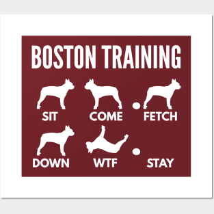 Boston Training Boston Terrier Tricks Posters and Art